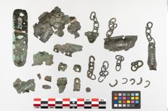 Foto von Bronzebreitrandschale (NHMW-PRAE-023699)